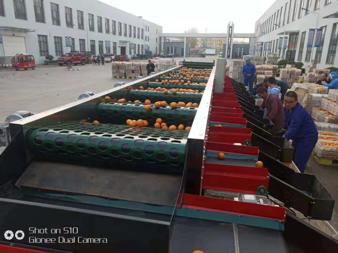 果蔬分選機